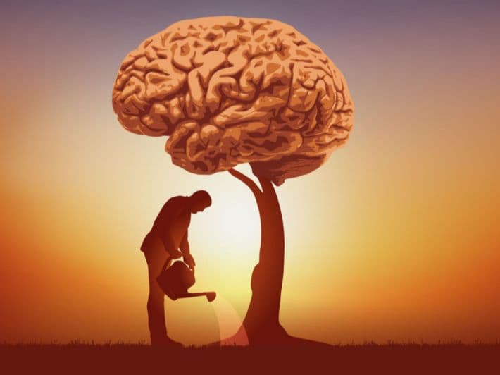 أستاذ فلسفة ذو خبرة 1